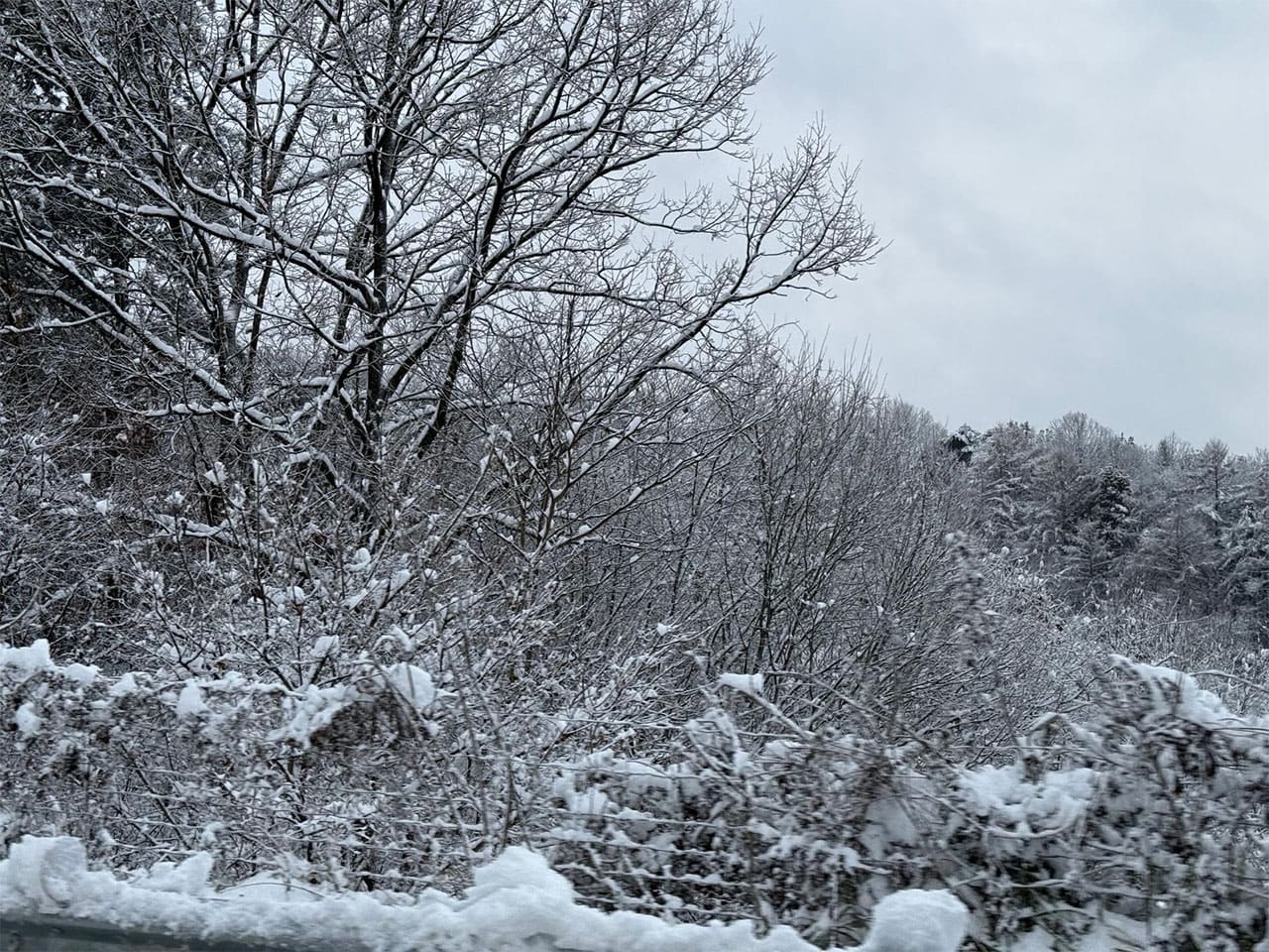 Image : The First Snow in Korea Overnight, Shared by BTS V ⓒ Weverse