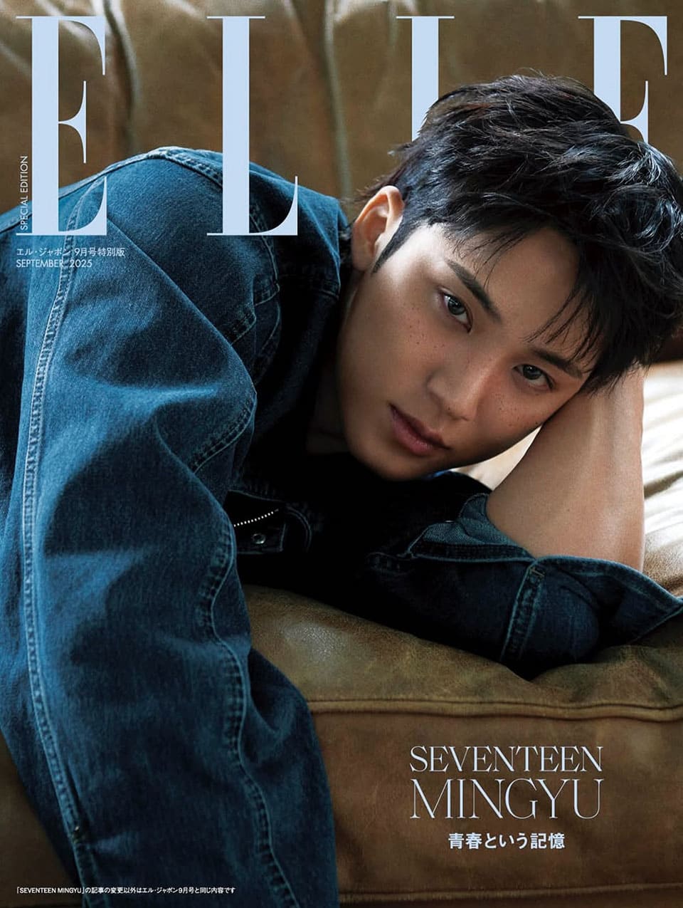 SEVENTEEN 7thチャーム　MINGYU SEVENTEEN 7thチャームMINGYU