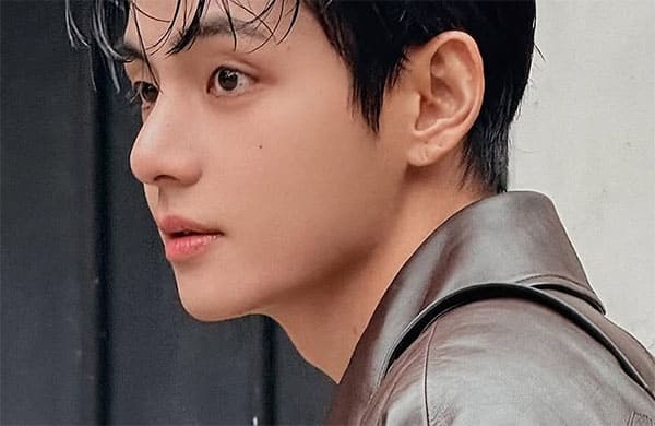 Did you step out of a webtoon?” BTS V stuns with his unreal autumn