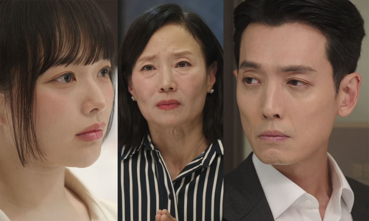 ‘Pro Bono’ Jung Kyung-ho Changes the Law — Delivers a Bold Blow, Abolishes Family Crime Exemption